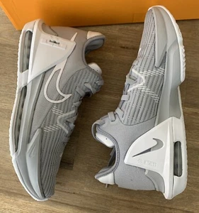 Nike Men's Lebron Witness VI TB Grey Basketball Shoes DO9843-001 Size 9.5 Mens - Picture 1 of 12