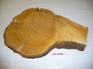 Japan.Wildkirsche,Drechselholz,Schnitzholz,Scheibe,drechseln,ca.40x30x3cm,10102 - Bild 1 von 2