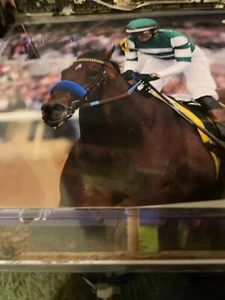 8x10 flight line breeders cup winner - Picture 1 of 4