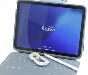 Apple iPad 10 Generation 256 GB mit Cellular Silber Guter Zustand XXYY - Bild 1 von 8