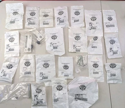 Gran surtido de pernos/herrajes/arandelas/tornillos Harley-Davidson LOTE Foto 1 de 4