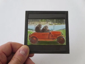 Vintage Glass Advertising Magic Lantern Slide - Steyr Werke Car w/ Monkey Chimp - Picture 1 of 6