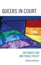 Susan Gluck Mezey Queers in Court (Gebundene Ausgabe)