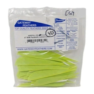 40 Count Gateway Feathers 4" Right Wing: Parabolic Lemon Lime Green - Picture 1 of 2