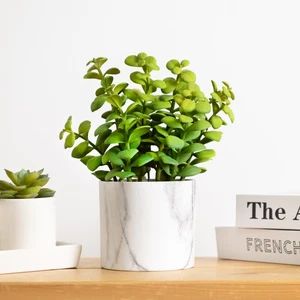 Northlight 10" Green Artificial Privet Plant in Faux Wood Pot - Picture 1 of 6