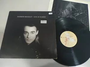 Andrew Ridgeley Son Of Albert Epic Promo - LP Vinyle 12 " VG/VG - Photo 1 sur 5
