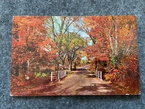 Indian Summer comes at last Vintage 1962 Postcard - Picture 1 of 2