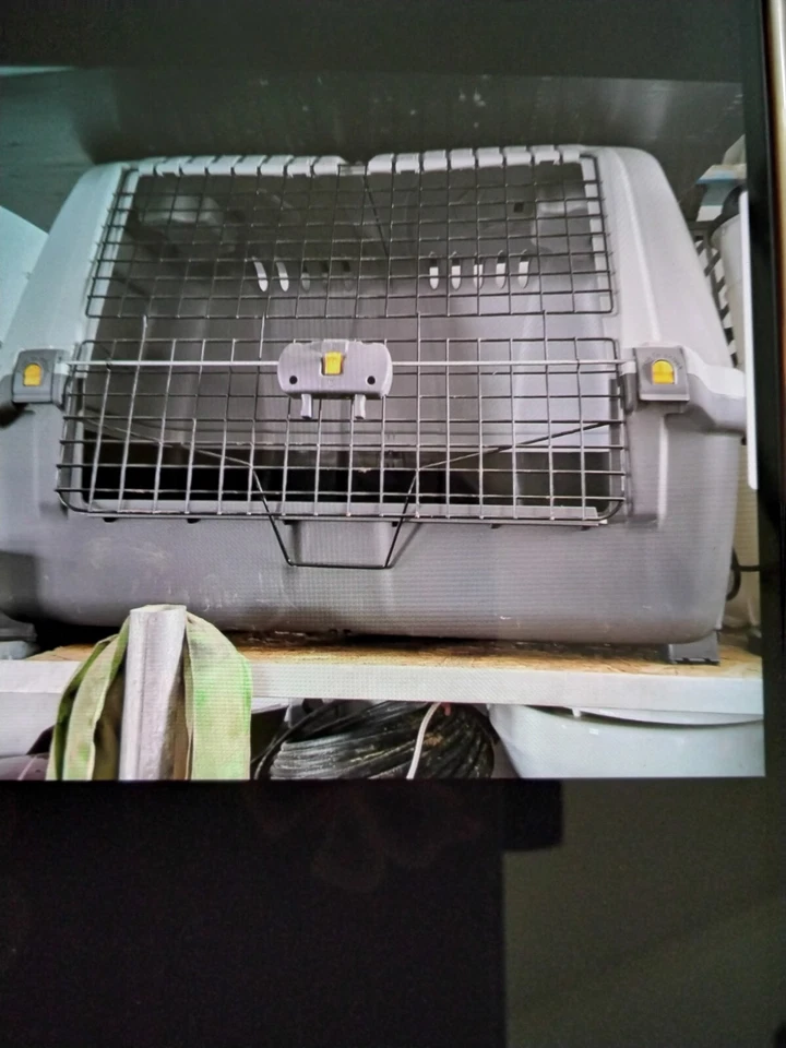 hundebox - Bild 1 von 1