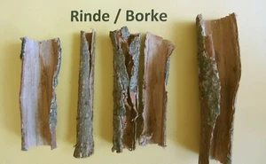 Seemandelbaumrinde-Röhren 25/50/100 Gramm - Catappa Bark - Versandkostenfrei - Bild 1 von 1