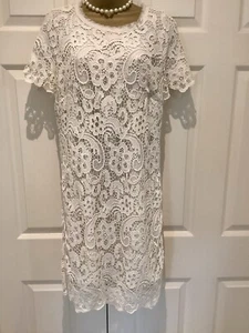 Zara Lace Ivory Cream Shirt Sleeve Tunic Lined Mini Dress Size XL 12 To 14 - Picture 1 of 6