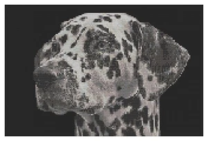 Patrón de punto de cruz de Florashell - perro dálmata - Imagen 1 de 1