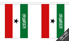 Somaliland Bunting - 9 Metres 30 Flag Banner Decoration