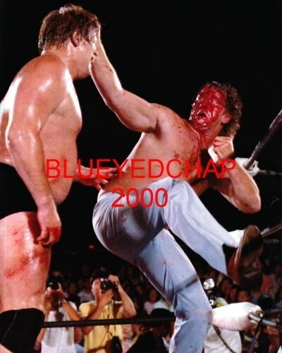FOTO DE LUCHA LIBRE STAN HANSEN VS TERRY FUNK WRESTLER 8 X 10 NUEVA Foto 1 de 1