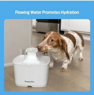 Premier Pet 60oz Pet Fountain - Automatic Water Fountain for Cats & Small Dogs - Image 1 of 4