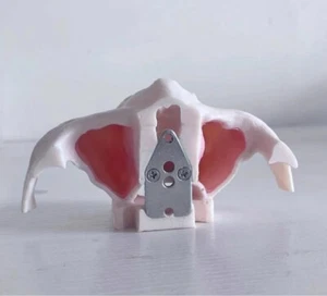 Implante de dientes dentales modelo de práctica de elevación de senos maxilares con hueso cigomático - Imagen 1 de 7