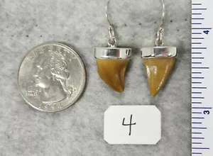 PENDIENTES DENTALES MOSASAURUS $69 Joyería de Plata Esterlina CREACIÓN ESTRELLADA - Imagen 1 de 6