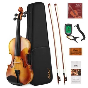 Eastar 4/4 Violine Set Full Size Geige Massivholz für Erwachsene mit Hartschalenkoffer, Shou - Bild 1 von 8