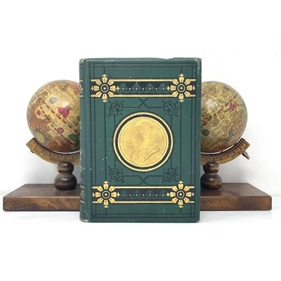 From the Collection of John Gilmary Shea: The Life of Pope Pius IX 1878 Foto 1 de 4