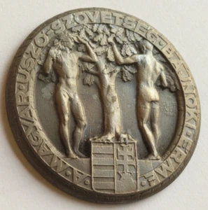 1947 Hombres desnudos en medalla de campeonato de la Asociación Húngara de Natación 50mm - Imagen 1 de 2