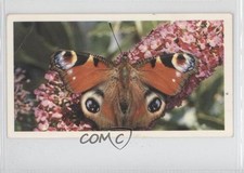 1983 Grandee British Butterflies Peacock #11 a8x