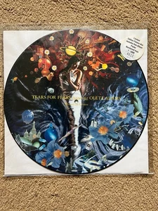 Tears For Fears - Woman In Chains - 12" Numbered Picture Disc + Poster IDEAP16 - Picture 1 of 6