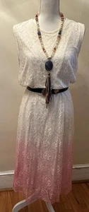 Ashro Women Sz 16 White Pink Ombre Mesh Lace Dress With White Liner - Picture 1 of 11