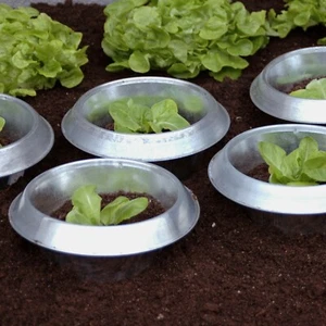 Schneckenzaun Metall Schneckenkragen Schneckenstopp Schneckenschutz - Bild 1 von 16