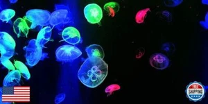 VIP.LINE Jellyfish Aquarium Background Poster PVC Fish Tank Decorations Lands - Picture 1 of 3