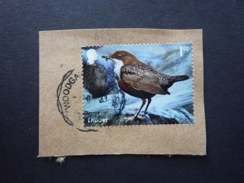 2023 RIVER WILDLIFE 1st class 'Dipper' stamp FINE USED on piece - PHOSPHOR ERROR - Image 1 of 1