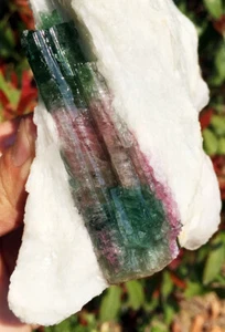 568g natürliche Wassermelonenfarbe Turmalin Kristall grober Stein Probe ip1239 - Bild 1 von 12