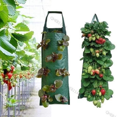 4/8 Pockets Strawberry Planting Hanging Bag Fabric Planter Flowers Plants 18H - Image 1 of 4