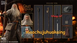 Figura de acción masculina Hell Cat DYM202401B 1/12 Grey Wizard modelo versión de lujo - Imagen 1 de 12
