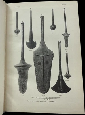 CLUB TYPES OF NUCLEAR POLYNESIA Carnegie Institution 1917 FIJI TONGA SAMOA RARE! Foto 1 de 4