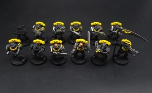 12x Warhammer Space Marines Scythes of the Emperor - Partially Painted - Used - Picture 1 of 10