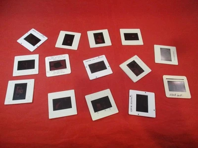 Lot 90s PC Computing CES Promo Slides Compaq Computer Sharp Retro Computers - Image 1 of 4