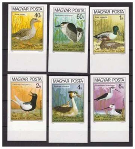 HUNGARY 1980 - EUROPEAN BIRDS IMPERFORATED SET MNH ** - Picture 1 of 1