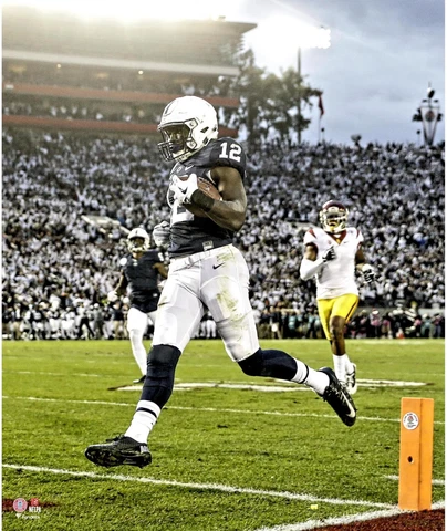 Chris Godwin Penn State Nittany Lions 2017 Rose Bowl Touchdown 20" x 24" Photo Cover