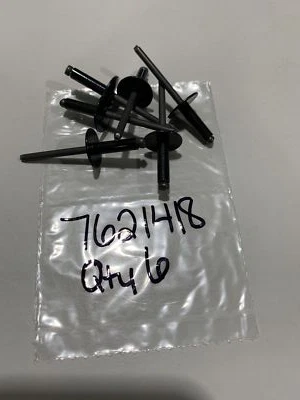 Remache Cantidad 6 - 2000 POLARIS Polaris Foto 1 de 2