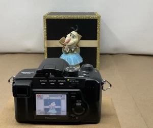 Cámara Panasonic LUMIX DMC-FZ5 5MP + Batería, Cargador y Tarjeta SD - Probada - Imagen 1 de 6