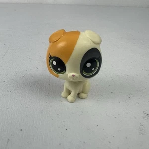 Littlest Pet Shop n. # crema nebbiosa chiaro di luna arancione nero pieghevole gatto occhi verdi - Foto 1 di 3