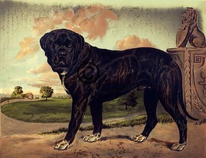 Fancy Vintage Dog " THE BLOODHOUND ( DON ) " Poster Art - Picture 1 of 1