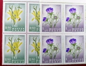 HUNGRIA 1967 - FLORES / PAL KITAIBEL . - Imagen 1 de 4