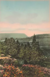 Albertype Hand Colored Delaware Water Gap from Pocono Manor Inn Postcard K601 - Picture 1 of 2