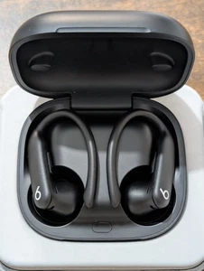 Beats Powerbeats Pro 2 Bluetooth In-Ear - Jet Black excellent Condition - Picture 1 of 24