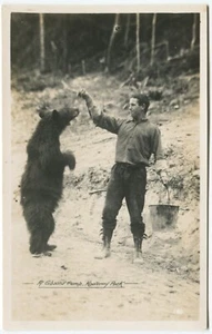 OSO, CAMPAMENTO DE GIBSON, PARQUE NACIONAL KOOTENAY, COLUMBIA BRITÁNICA - Postal de Canadá - Imagen 1 de 2