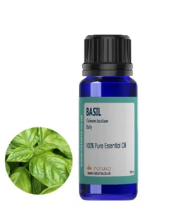 Basil Essential Oil  5ml 10ml  20ml  100%  Therapeutic Aromoatherapy - Picture 1 of 2