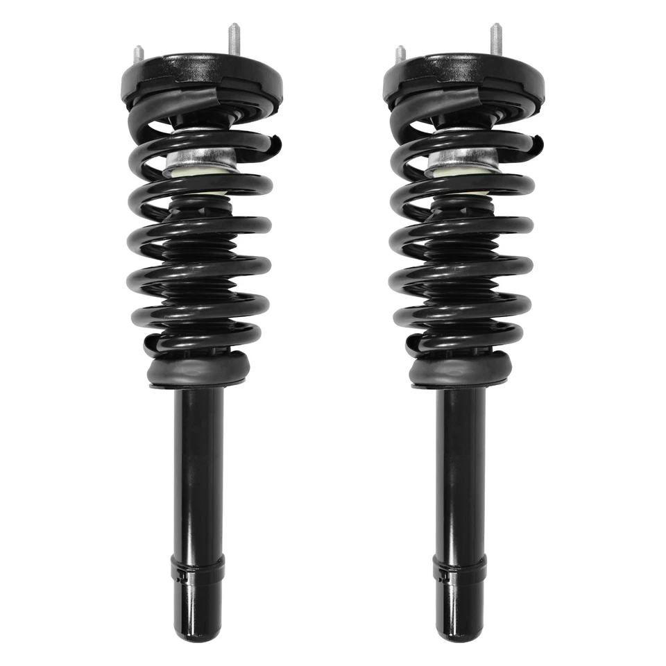 Front Complete Struts Shocks Set of 2 for 2006-2011 Hyundai Azera Foto 1 de 1