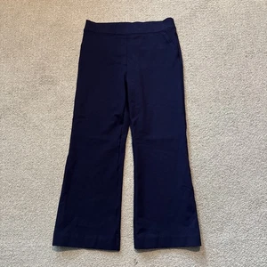 Spanx The Perfect Pant Slim Straight Pants Navy Blue Women’s Sz Medium 26” In - Picture 1 of 10