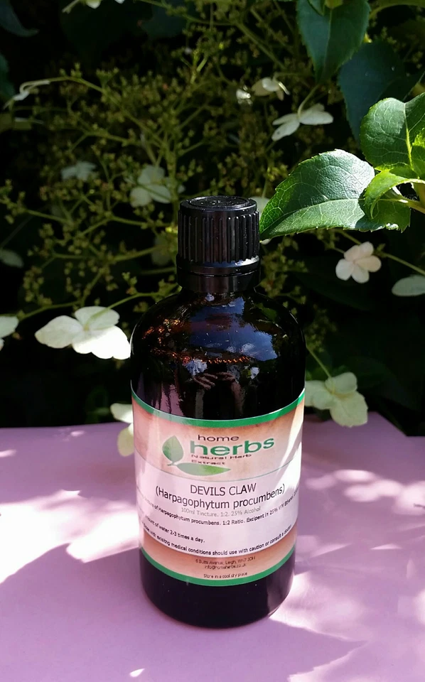 Organic Devil's Claw Tincture 100ml. 1:2 Ratio High Strength Herbal Extract.