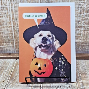 Hallmark Halloween Greeting Card Orange Dog Trick Squirrel Funny Humor - Picture 1 of 7